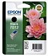 Картридж Epson T013 (C13T01340110)