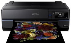 Epson SureColor SC-P800