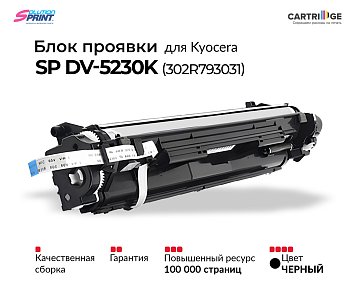 Блок проявки DV-5230K (302R793031) для Kyocera, черный (OEM.ref)