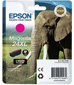 Картридж Epson T24XL (C13T24334010)