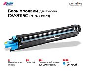 Блок проявки DV-8115 (302P393020) для Kyocera, голубой (OEM.ref)