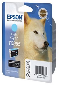 Картридж Epson T0965 (C13T09654010)